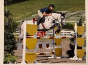 Prospect sauteur haut niveau ! - Victory Gallop