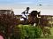 Cheval de concours complet / Demi pension