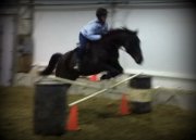 Cavalière disponible compétition