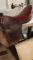 Selle jorge classique