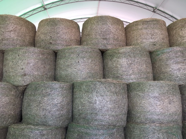 Foin sec balle ronde 4 x4 1/2 1 ere coupe et 2 ieme coupe