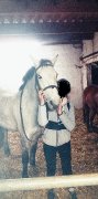 Recherche demi pension 62