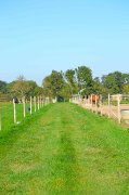 &Eacute;curie de propri&eacute;taires - Pension pour chevaux