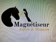 Magnétiseur équin