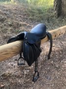Selle noire Eric Thomas