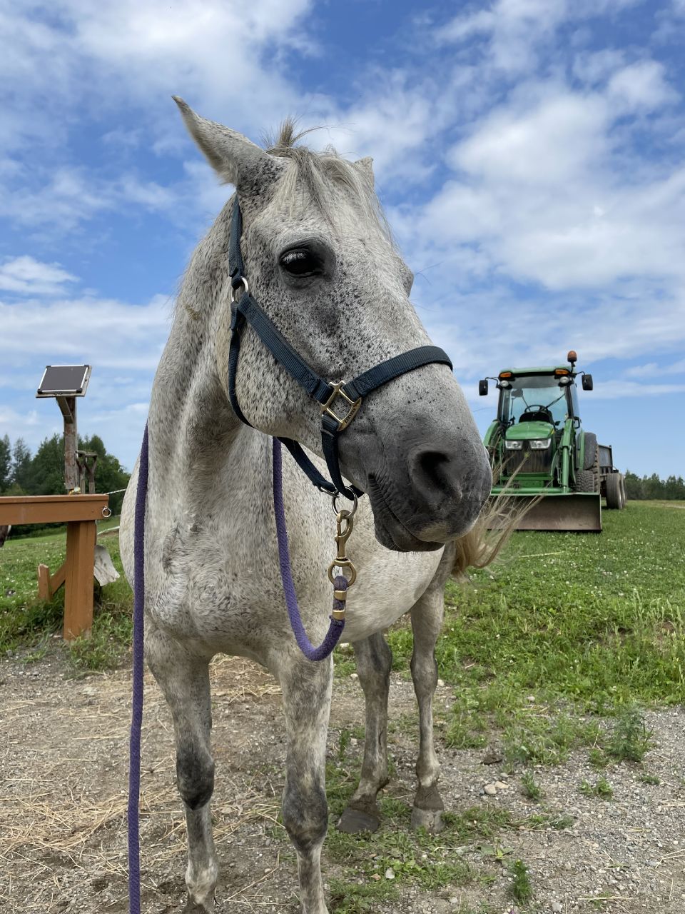 Recherche demi-pension prêt de Sherbrooke