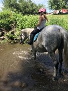 Recherche demi-pension prêt de Sherbrooke