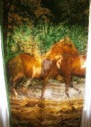 Bandes de papier peint chevaux