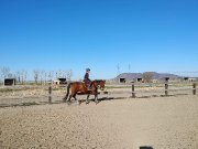 Recherche demi-pension rive-sud