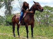 CHERCHE LOCATION/PLEINE PENSION