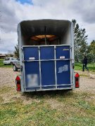VAN IFOR WILLIAMS HB403
