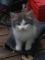 A vendre
