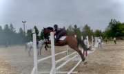 Pension complet beau et gentil chevalà une écurie magnifique