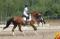 Cours lanaudiere chevaux décole ou domicile