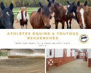 Achat de chevaux - la meilleure famille qui soit!