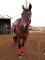 QH Appendix