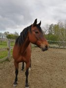 QH Appendix