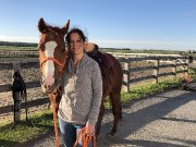Jument quarter horse offerte en demi-pension