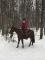 Jument quarter horse offerte en demi-pension