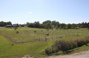 PALEFRENIER (IÈRE) RECHERCHÉ(E) SAMEDI DIMANCHE 08H00-12h00