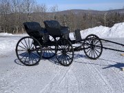 Voiture fine à 2 bancs avec attelage pour 1 cheval