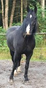 Recherche Pension