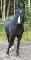 Recherche Pension