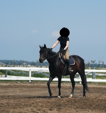 Hongre Appendix 6 ans