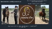 Instructeur / instructrice équestre