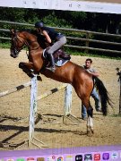 URGENT !!!! Jument SF cherche sa nouvelle demi-pension