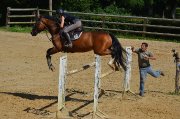 URGENT !!!! Jument SF cherche sa nouvelle demi-pension
