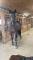 Cheval à vendre | urgent | prix négociable