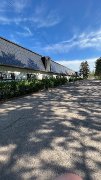 Recherche Palefrenier (ère)