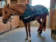 Forfait Spa pour chevaux!!!