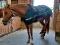 Forfait Spa pour chevaux!!!