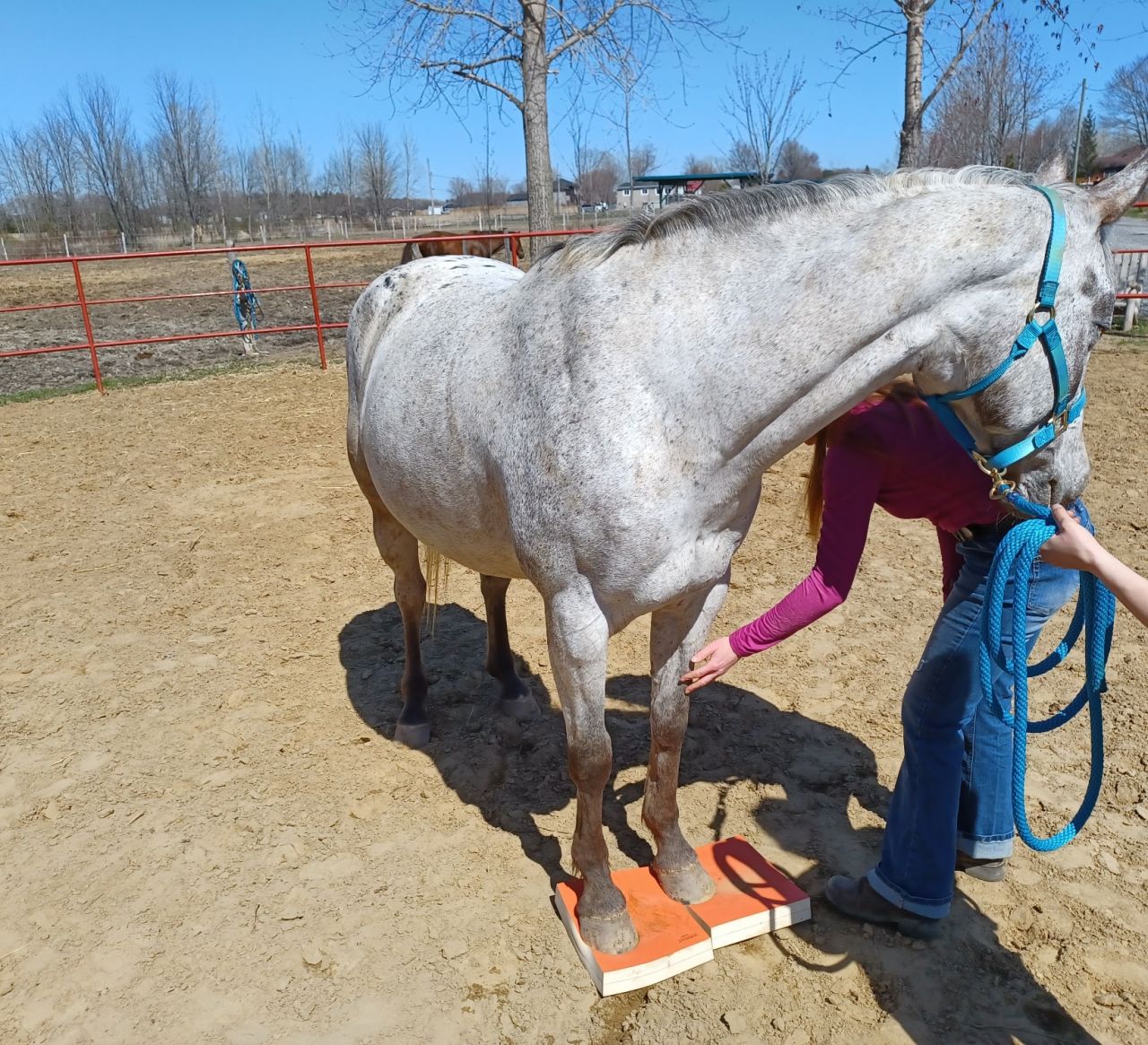 Séance sur les SureFoot pads.