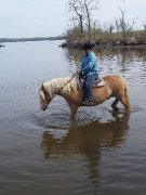 Fermette à vendre à Ste-Anne-de-la-Pérade (Mauricie)