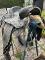Selle western 16 pouces arçon large.