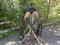 Selle Reinsman 16 pouces