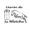 Une pension ? Le haras de la bleiche !