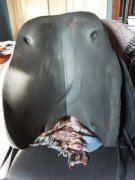 Selle anglaise bareback