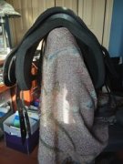 Selle anglaise bareback