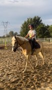 Bon cheval pour débutants encadré