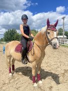 Bon cheval pour débutants encadré