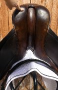 Selle Dressage County.