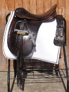 Selle Dressage County.