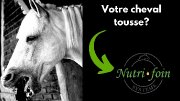 Ton cheval tousse?