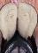 Selle Western Big Horn.