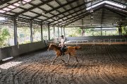 Votre manège équestre 100% financé