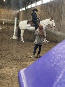 Cheval de reining